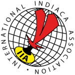 iia-logo-WEB